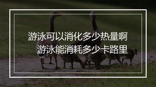 游泳可以消化多少热量啊　游泳能消耗多少卡路里
